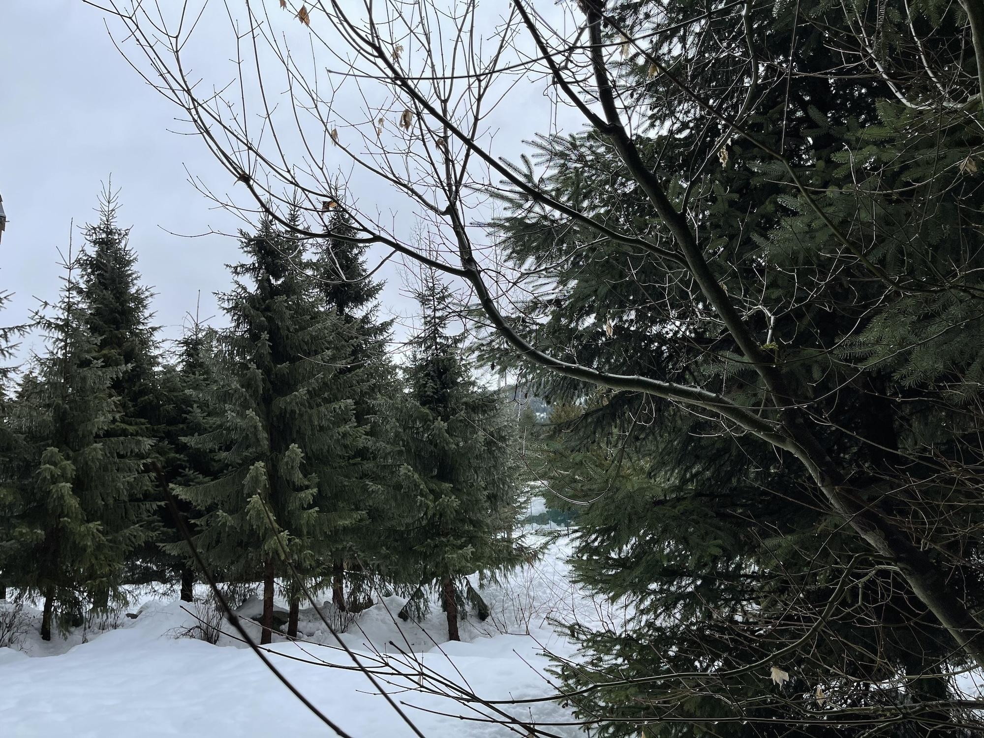 Four Seasons Resort Вістлер Екстер'єр фото